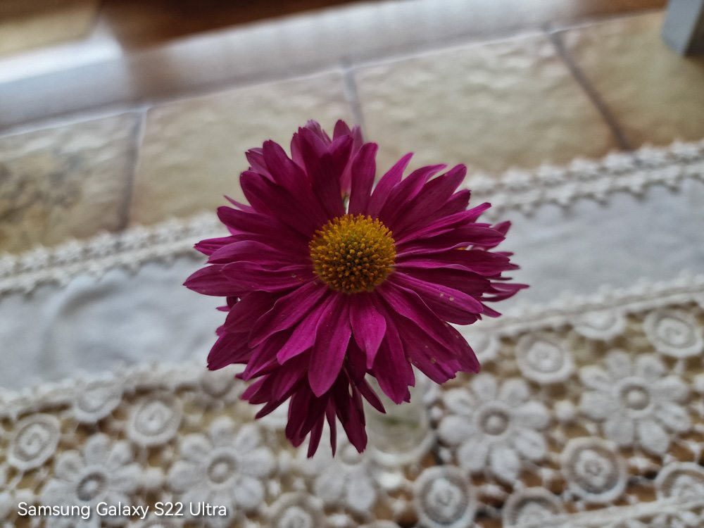 Kameravergleich - HUAWEI Mate 50 Pro vs. Samsung Galaxy S22 Ultra 26 Samsung Galaxy S22 Ultra Bokeh 2